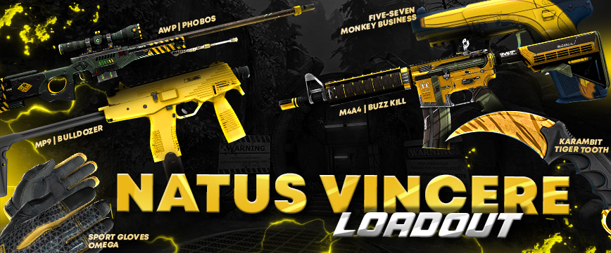 Natus Vincere Loadout