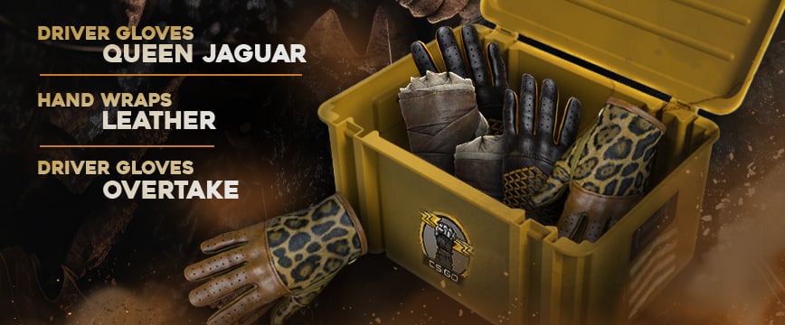 hand wraps leather, DG overtake, and DG convoy sticking out of hellcase gloves case