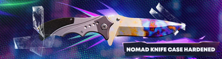 Top 10 Nomad Knife Skins In CS2 Best Designs Prices Float Values top-10-nomad-knife-skins-in-cs2-best-designs-prices-float-values